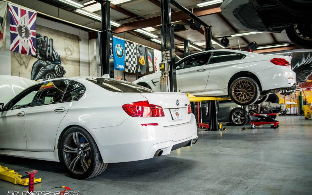 Alpine M4 and M5 Monday