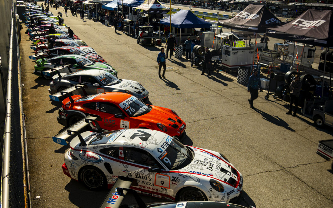 Survival of the Resilient: Petit Le Mans Endurance Race