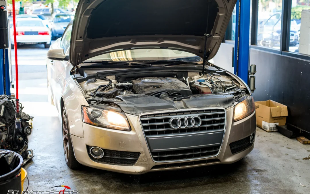 Audi in for new Motor
